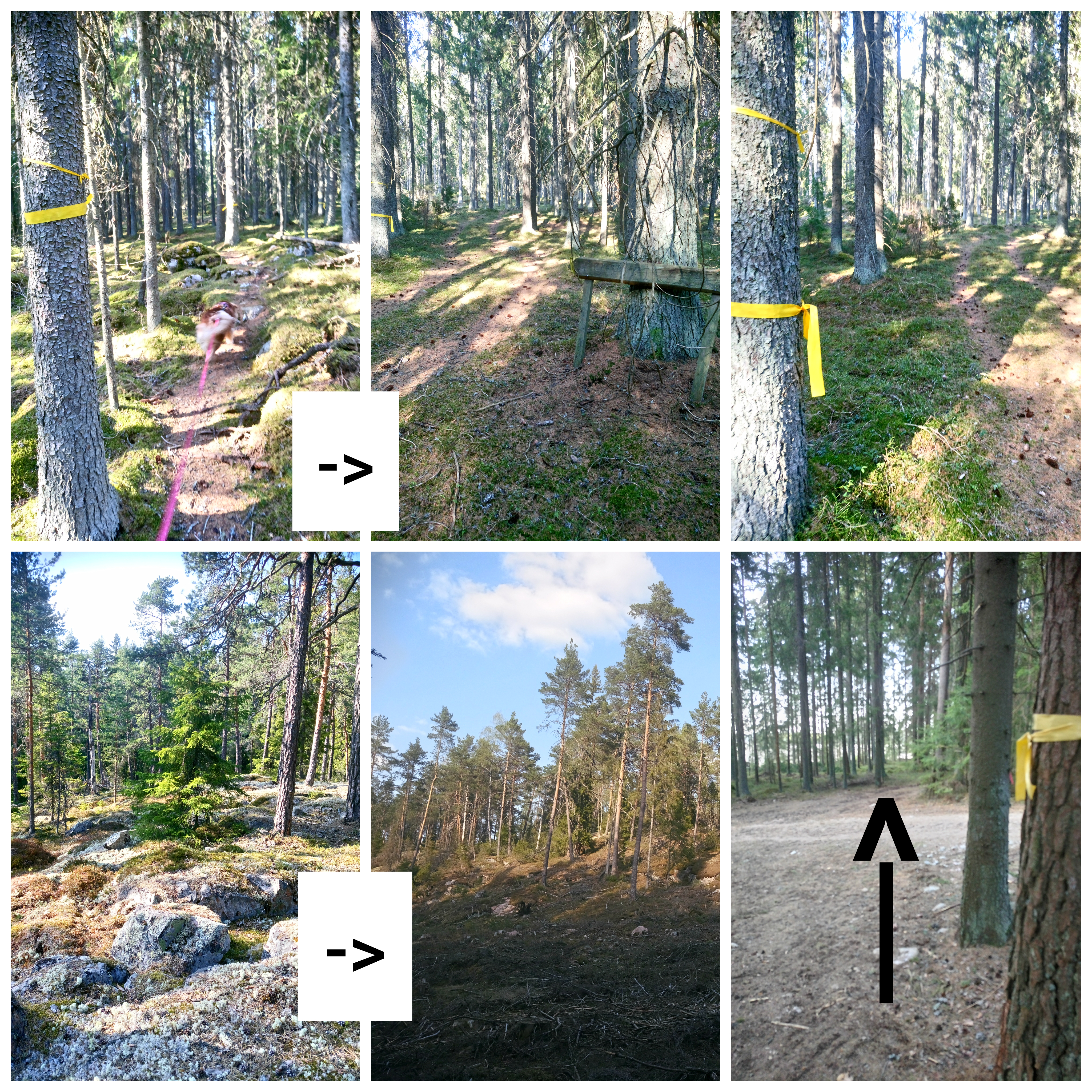 CollageMaker_20190427_191933142